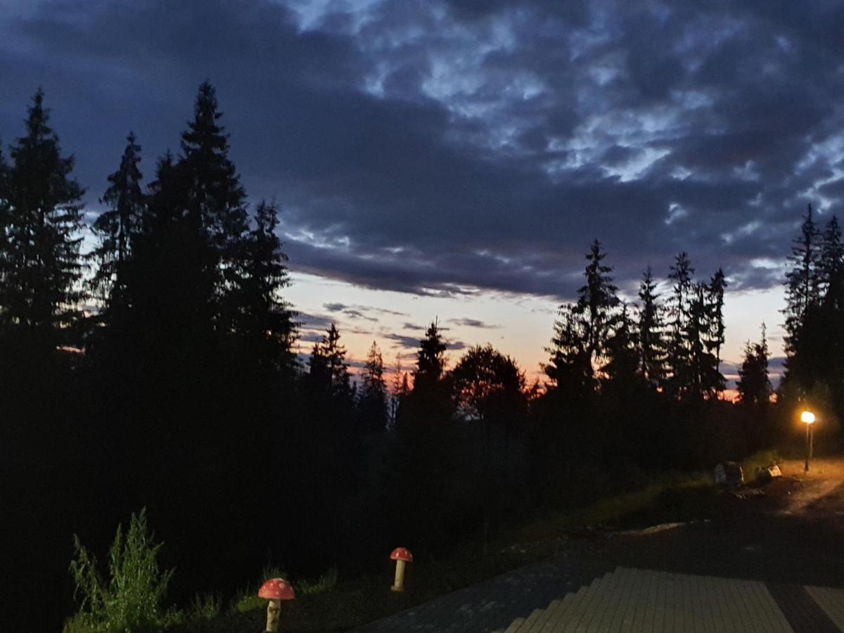 Casa Sofia Bucovina Hotel Ciumirna ภายนอก รูปภาพ