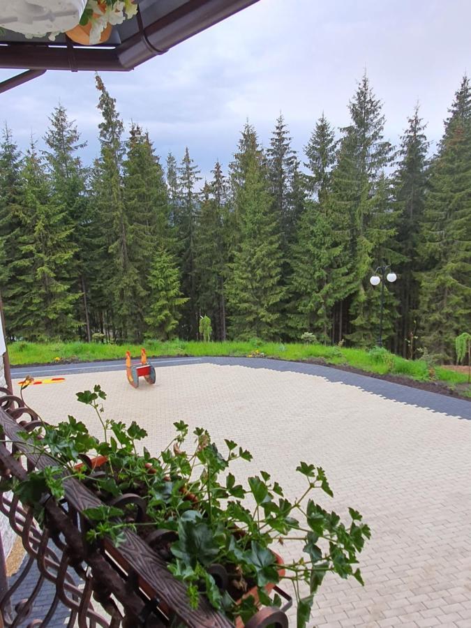 Casa Sofia Bucovina Hotel Ciumirna ภายนอก รูปภาพ
