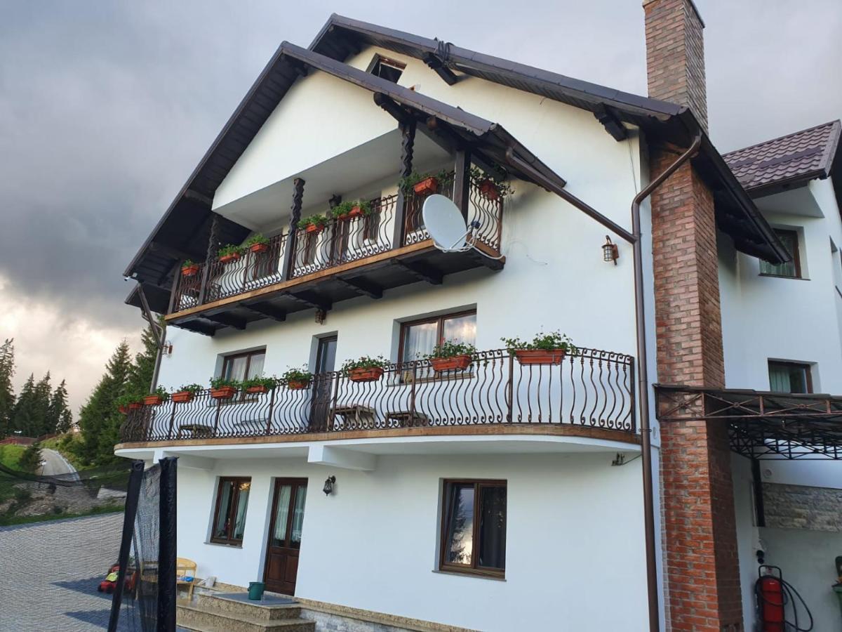 Casa Sofia Bucovina Hotel Ciumirna ภายนอก รูปภาพ