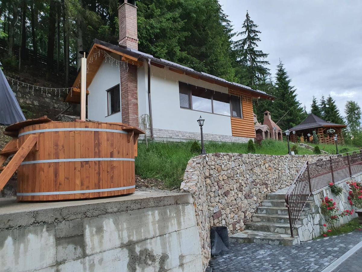 Casa Sofia Bucovina Hotel Ciumirna ภายนอก รูปภาพ