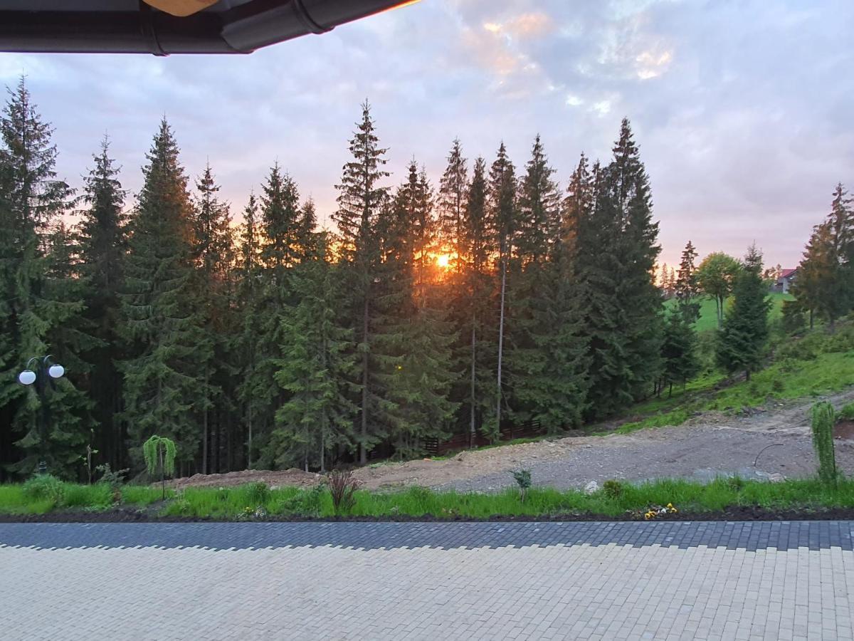 Casa Sofia Bucovina Hotel Ciumirna ภายนอก รูปภาพ