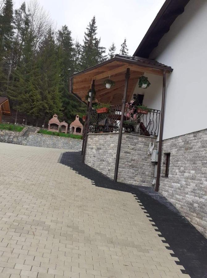 Casa Sofia Bucovina Hotel Ciumirna ภายนอก รูปภาพ