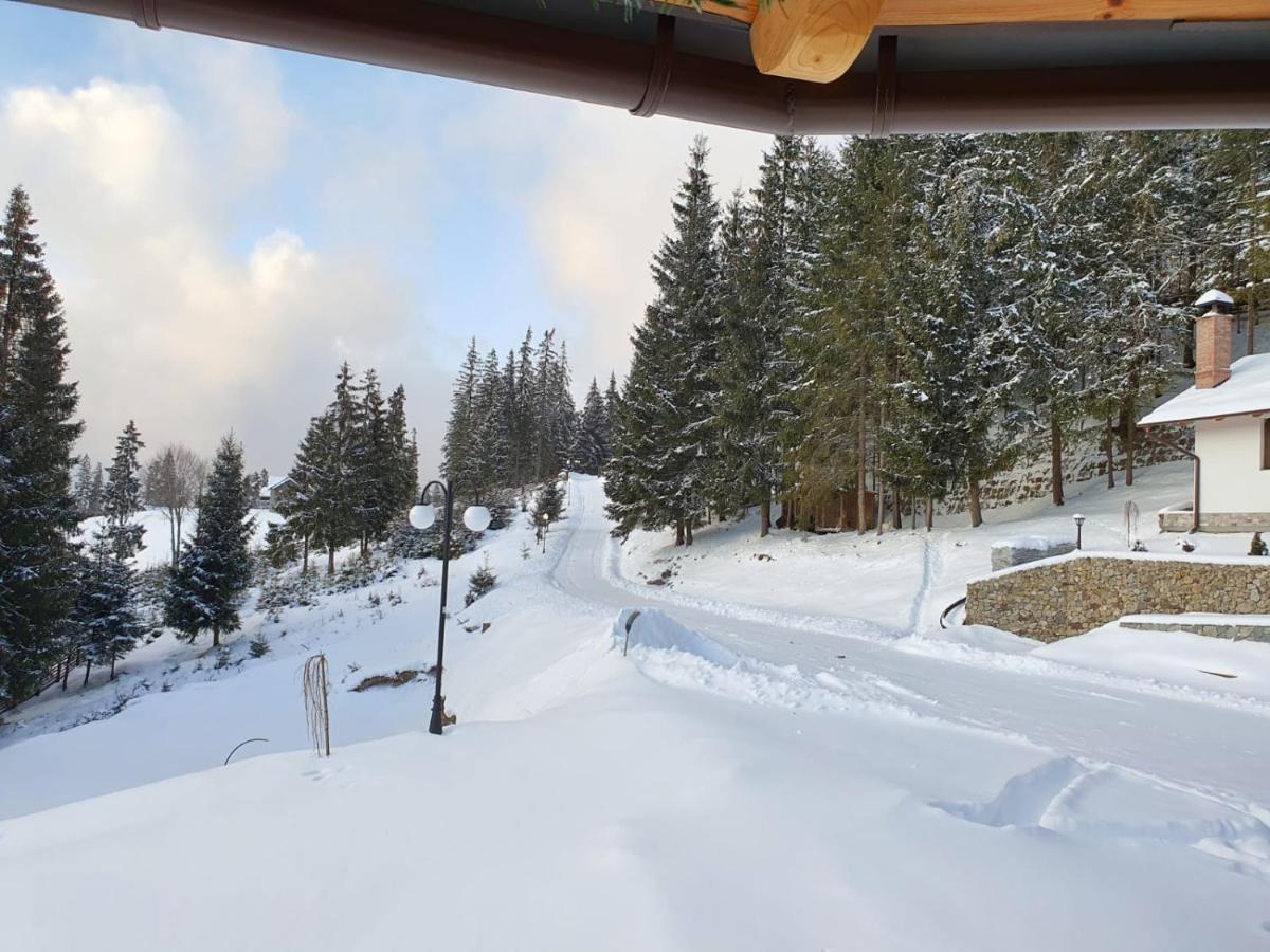 Casa Sofia Bucovina Hotel Ciumirna ภายนอก รูปภาพ