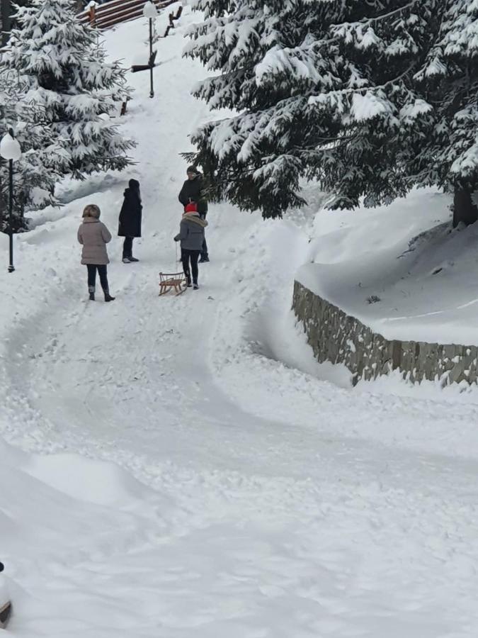 Casa Sofia Bucovina Hotel Ciumirna ภายนอก รูปภาพ