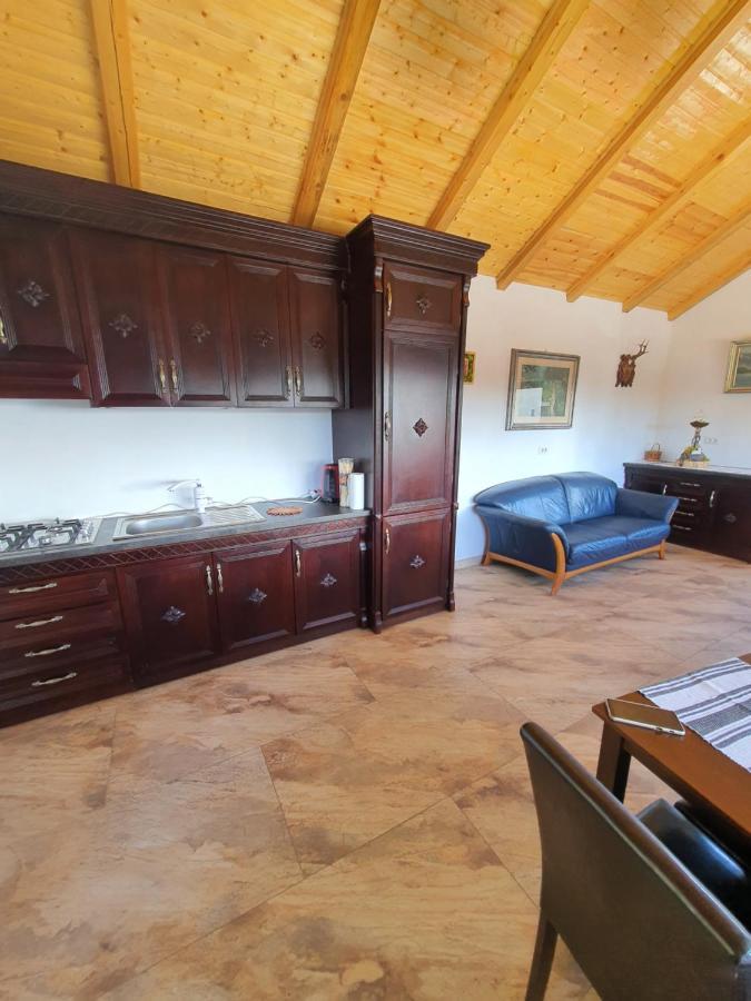 Casa Sofia Bucovina Hotel Ciumirna ภายนอก รูปภาพ
